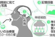 忘れた記憶を薬で回復させる実験に成功‼︎  東京大などの研究チームが忘れた記憶を薬で回復させる実験に成功。 記憶を回復させる薬