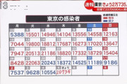 【大悲報】　東京 ＋20,735