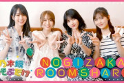 【乃木坂46】明日から５人でシェアハウスに住むならどっちのグループがいい？