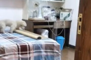 【イヌ】この小ワンちゃん賢すぎるだろ。寝転がるための準備を全て一人でする犬の映像。
