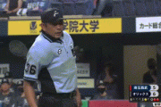 球審真鍋ブチ切れwxxwxwxwxwwxwxxwwxwxwxwxxwxwxwxwx
