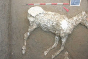 【火砕流に埋もれた古代都市】イタリア・ポンペイ遺跡で古代馬の遺骸が見つかる