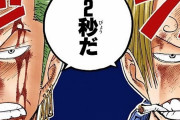 【朗報】ゾロとサンジ、最高幹部を一瞬で撃破　二人一緒だとめちゃくちゃ強い