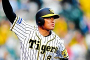 【悲報】阪神タイガース 福留孝介 来季年俸0円、交渉10分、「呆れた」 ぞんざいな扱いにファン激怒