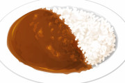 【画像8枚】カレーライスの女