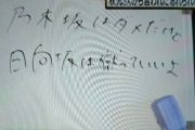 【日向坂46】ヒコロヒー「日向坂は蹴っていいよ」ｗｗｗｗｗｗｗｗｗ