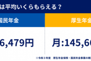 岸田自民党「サラリーマンすまん、厚生年金入ってない自営業の人に厚生年金からばらまくわｗｗｗｗｗｗｗｗ」←もう終わりだろこの年金とかいうシステム