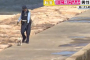 【悲報】川に落ちた飼い犬を助けようと飛び込んだ男性が死亡　落ちた犬も死亡…