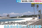 和歌山･白浜町｢南海トラフ臨時情報で損失5億円！政府は支援してくれ！｣