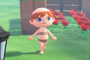 あつまれどうぶつの森 村人の衣服を全て剥ぎ取り全裸にするとどうなるのか？