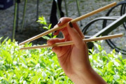 なぜ箸の持ち方を他人にどうこう言うやつが多いのか