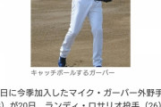 【朗報】中日ガーバー明日の試合でレフトスタメン