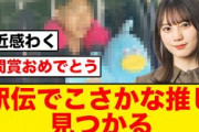 箱根駅伝で小坂菜緒推しが区間賞をとる【箱根駅伝/日向坂46】