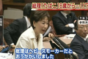 国会内に喫煙所が83か所もある件