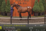 【セレクトセール】SaxonWarrior産駒が1億9000万円　アドマイヤ・近藤旬子氏が落札