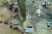 【動画】シンガポールの池の水抜いてみた、大量の魚を完全放置してしまい炎上