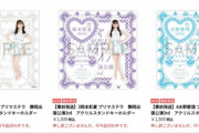 【SKE48】プリマステラのグッズオフィシャルショップで注文しようと思ったら、アクスタ全完売って....