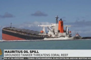 商船三井の貨物船がモーリシャスで重油流出の重大事故。なお日本メディアはほとんど報じず