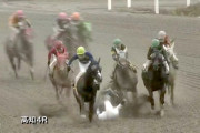 【悲報】高知4Rで多重落馬事故発生、赤岡騎手乗替わりに