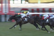 【競馬】阪神8レース、カイザーバルの単勝にぶち込め！！急げ！！