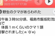 福島のクマ出現のメール、緊張感無さすぎるｗｗｗｗｗｗ