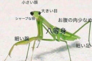 水原希子が吐露「2回も3回も4回も『顔が小さい』って言われ続けると…」“外見を褒める”日本人への違和感［5/29]