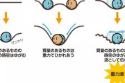 なんで地球には「重力」が存在するん？