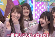 【日向坂46】ひなあい、やはり中年層向けの番組だったことが判明wwwww