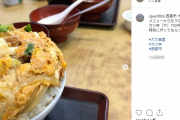 ツイッターのインキャ「甲子園でカツ丼廃止？インスタのせいンゴオオオオオオオ！！！！」