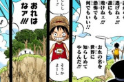 【ワンピース】ルフィの真の目的、いまだに謎のまま明かされていない・・・