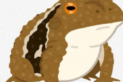 日本人「カエル肉食べる！？いやぁぁぁぁ！気持ち悪いぃぃぃ！」←これ