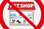 動物脳「ペットショップで動物売買するの反対！」←これ