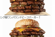 【店がない禁止】バーガーキングさん、ビーフ総重量499gのハンバーガーを発売してしまうｗｗｗｗ