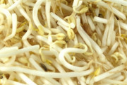 一人暮らしで「もやし」を超える食材あるの？
