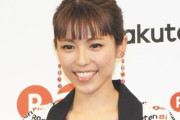 木下優樹菜が消えて若槻千夏の仕事が増えそうと話題に