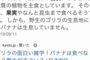 【悲報】なんJ民、ゴリラの主食を知らない…