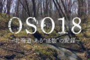 【画像悲報】最強熊OSO18、変わり果てた姿で発見される