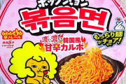 【悲報】日清、韓国の人気インスタント麺に似た商品を出して韓国でニュースになる