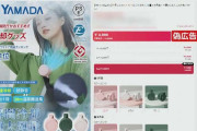 ウソだらけの「小型ファン」新たな商品の偽広告 “パナソニックが開発” “世界最小エアコン”　販売会社の住所に向かうと…