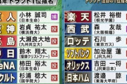 2013年のドラフト1位wwwこれは当たり年