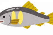 三大・刺身で食べることが珍しい魚ｗｗｗｗｗｗ　