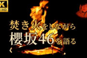 【 焚き火をしながら櫻坂46を語る 】 睡眠導入 作業用  通学用  通勤用 ｜ 4K