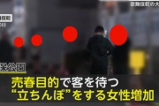 「売春する女性側ではなく、買春する男性側も罰するべき」立ちんぼ女子VS警察のいたちごっこに終止符を打つ唯一の方法...(現代ビジネス)