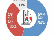 日本の輸出規制に対する文在寅政府の対応「よくやっている」54％…韓国世論調査結果＝韓国の反応