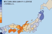 関西人は朝鮮系渡来人の末裔DNA遺伝子から関西の飛び抜けた渡来人率明らかに大和とか朝鮮人だらけ |  大阪あたりは朝鮮顔すごく多いもんなあ