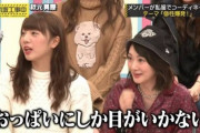 この画像見たらπの比べ合いっこしてるようにしか見えんくてワロタｗｗｗ【乃木坂46】