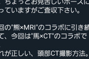 獣医さん｢馬を恥ずかしいポーズにしてCT撮りました｣ﾊﾟｼｬｯ 女さん｢！！！｣ｼｭﾊﾞﾊﾞﾊﾞ