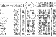 11/23(月/祝) 第25回 東京スポーツ杯2歳ステークス(GIII)
