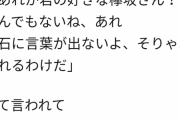【悲報】欅坂46のダンス、マジですごすぎて日本中が感動…