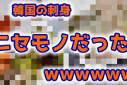 【画像あり】韓国の刺身、ニセモノだったｗ
